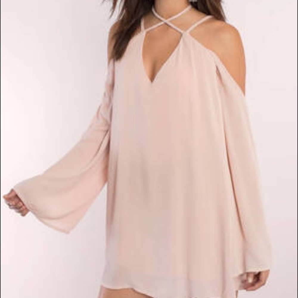 Tobi Vanessa Rose Shift Dress